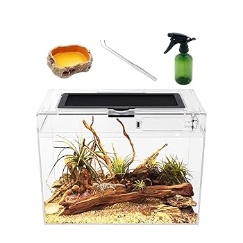 爬虫類ケージ　小型用 Amazon | トップテラ 爬虫類飼育ケージ TOP-60×45×60 | トップ